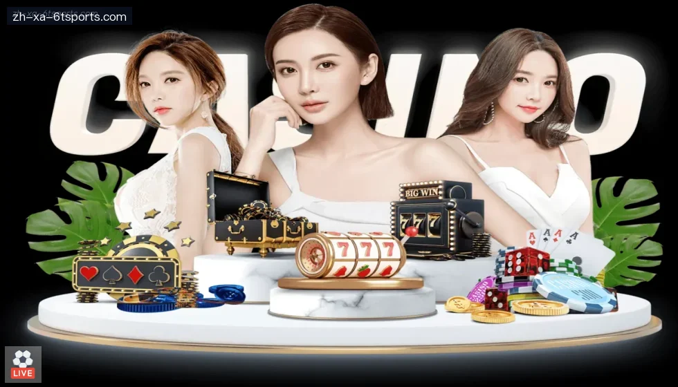6T体育 banner