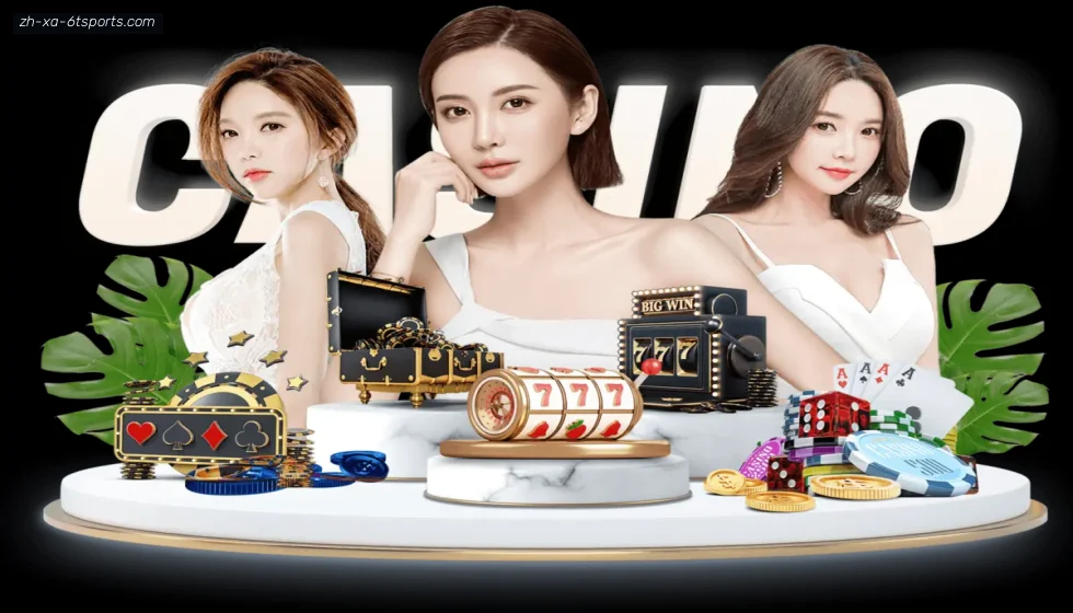 6T体育 banner